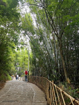 绿竹步道