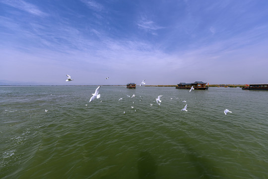 宁夏沙湖风光图片