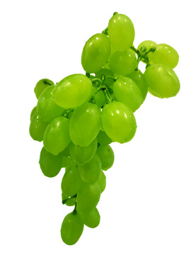 阳光玫瑰