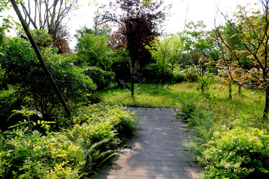 花园绿色小道