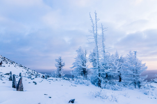 雪原雾凇