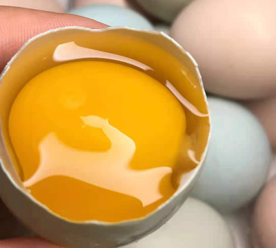 鸡蛋清