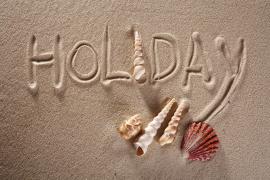 沙滩上有假日字样的贝壳。