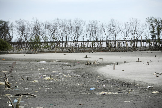 污染海滩股票图片