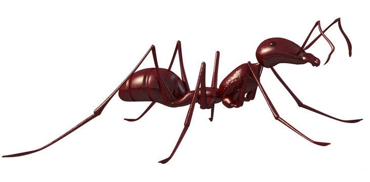 蚂蚁的三维渲染