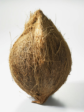 白色背景上的椰子照片