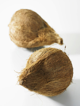 白色背景上的椰子照片