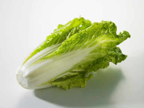 白色背景上的蔬菜照片