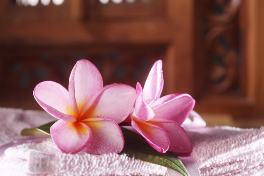 躺在毛巾上的粉红色的花