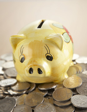 小猪存钱罐硬币马来西亚硬币
