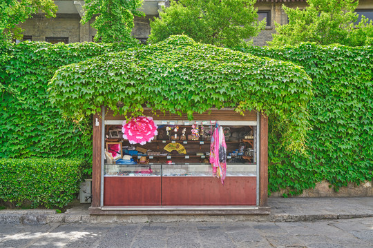 绿植店铺