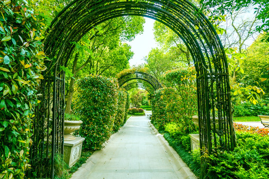 绿化圆形拱门