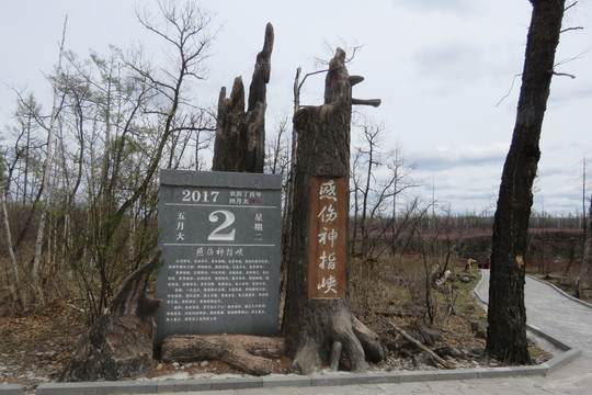 感伤神指峽