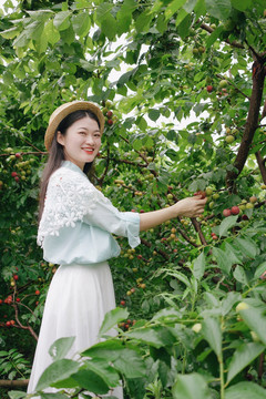 女孩在李子果园采摘写真