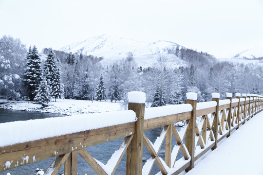雪景松树栏杆