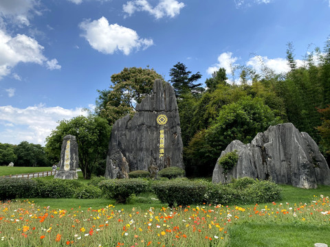 石林风景