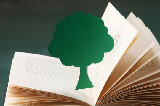 在绿色背景上打开书本上的微型树