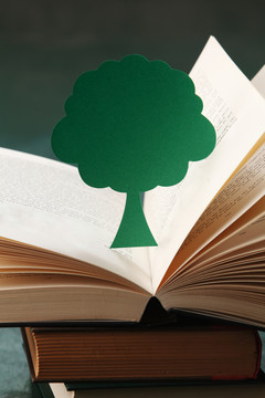 在绿色背景上打开书本上的微型树
