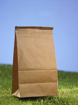 草地上的棕色纸袋