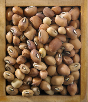 木制容器中尼日利亚棕豆的俯视图