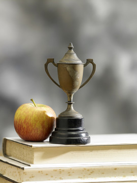 苹果在一堆书上拿着奖杯