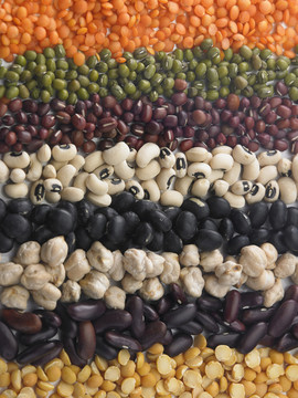 白色背景上的各种豆子