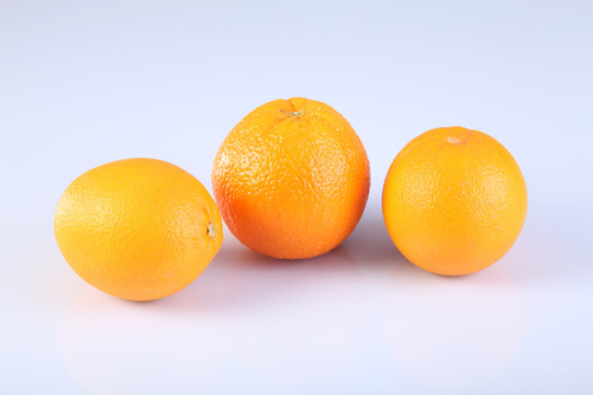 白底橘子