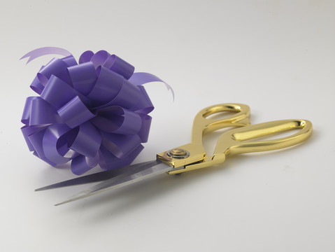开幕式有紫色丝带蝴蝶结和金剪刀