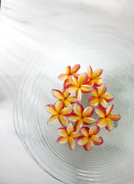 玻璃碗里的花