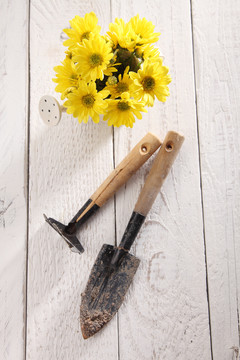 园艺工具和花盆