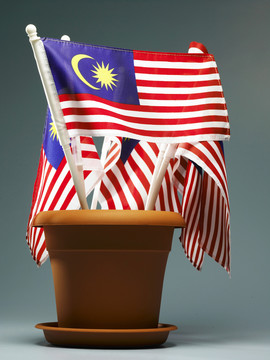 花瓶上挂着几面马来西亚国旗