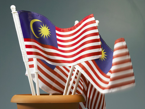 花瓶内马来西亚国旗顶视图