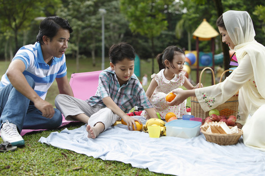 马来家庭在公园里玩得很开心