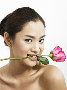 一只雌性用牙齿叼着一朵玫瑰