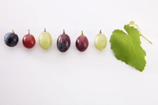 不同颜色的葡萄排成一行
