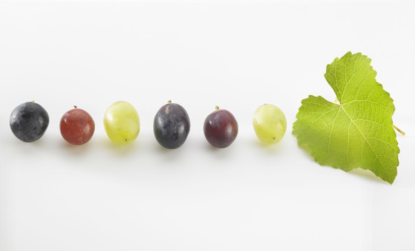 不同颜色的葡萄排成一行