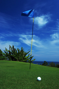 高尔夫球和旗子