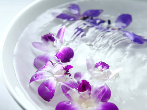 一碗水里的花