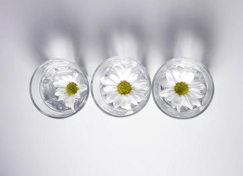 玻璃杯里的花并排排列