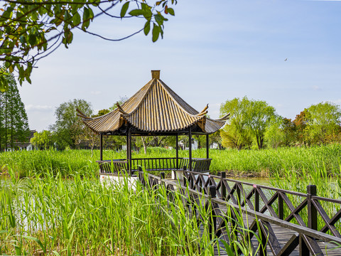 常熟沙家浜风景区