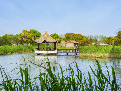 常熟沙家浜风景区