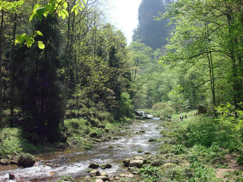 张家界风景