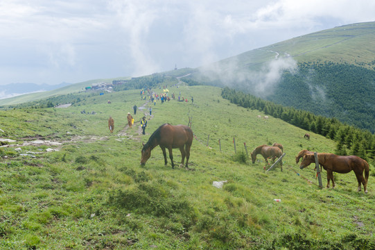 朝拜五台山