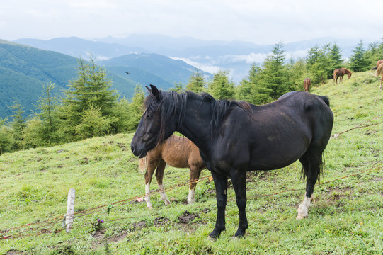 朝拜五台山