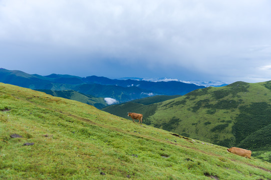 五台山朝台