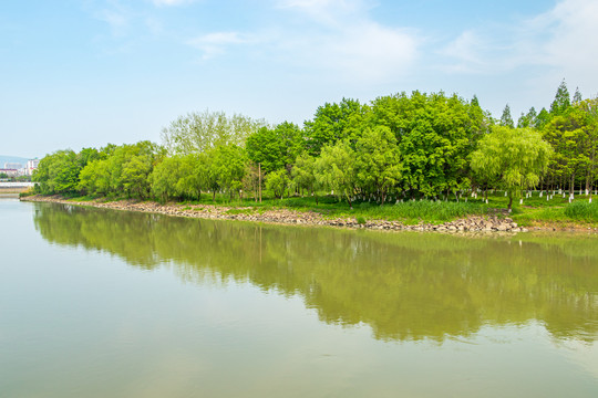 南京七桥瓮湿地公园