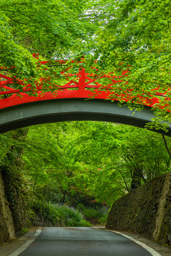 南京中山植物园