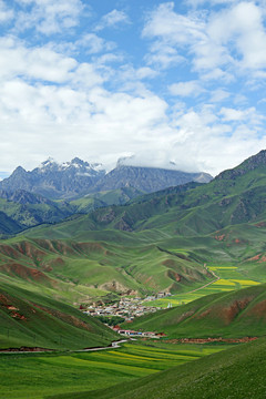 青藏高原风景