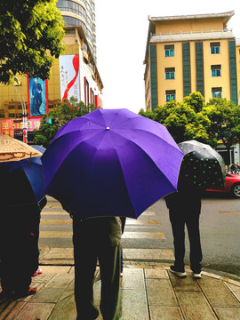 在雨中