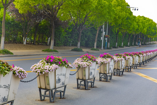 鲜花隔离带